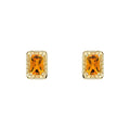 Detailed Octagon Citrine Stud Earrings in 9ct Gold